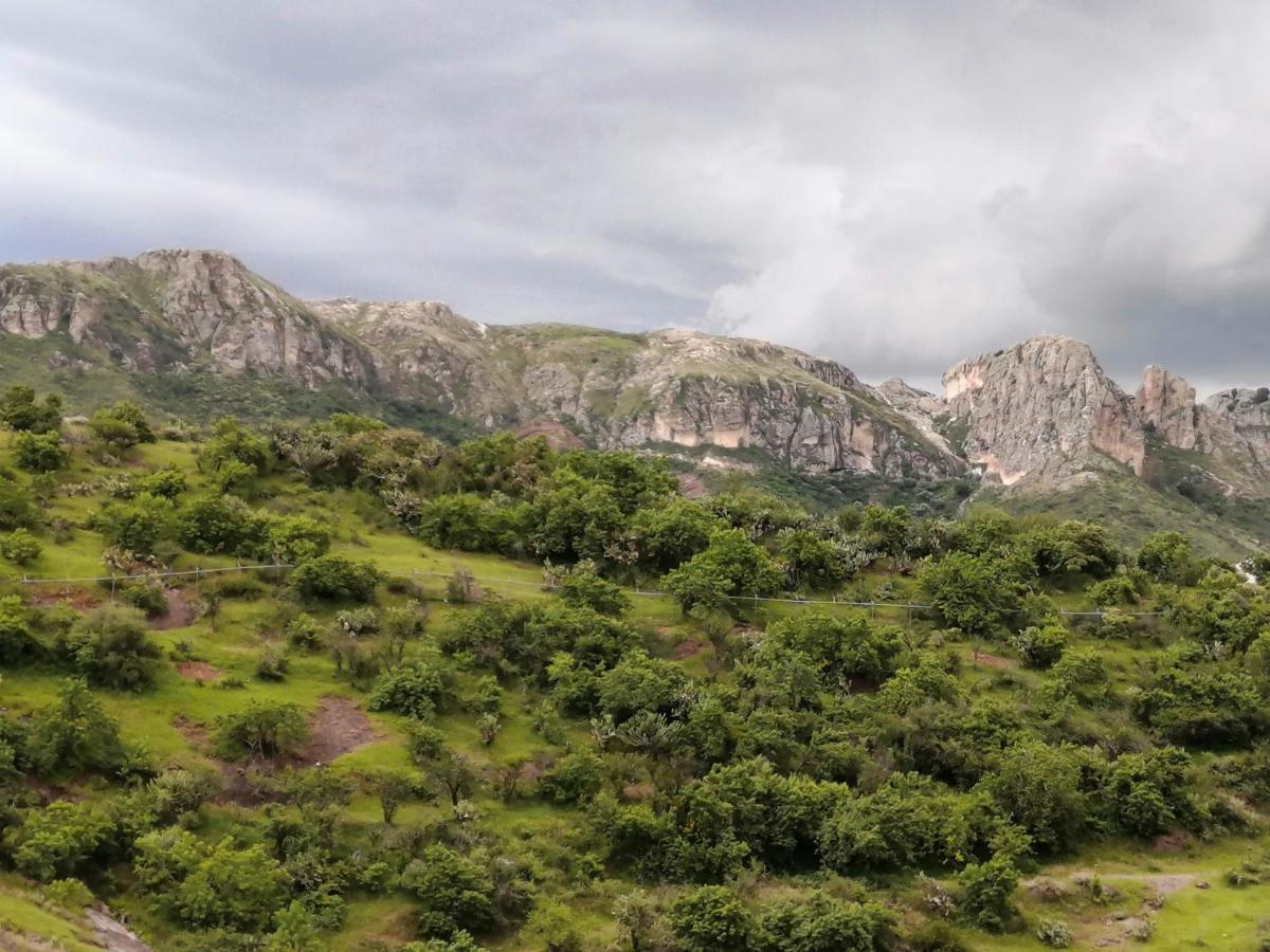 Casa Pozuelos Villa Guanajuato Eksteriør billede